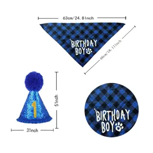 Blue plaid dog birthday bandana and sparkly blue party hat set with size measurements
