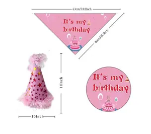 Pet birthday party decoration set with pink bandana and cone hat with dimensions details.