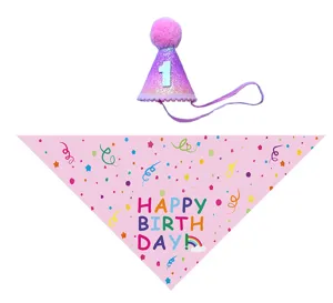 Pet birthday party hat and pink bandana set with rainbow design for 1st celebration