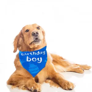 Blue pet dog bandana featuring white 'Birthday boy' text and cake print for party celebration