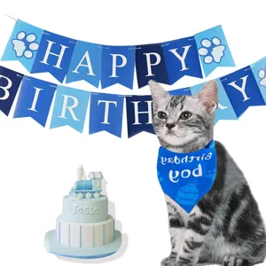 Cat wearing a blue 'Birthday Boy' pet bandana with happy birthday banner and cake