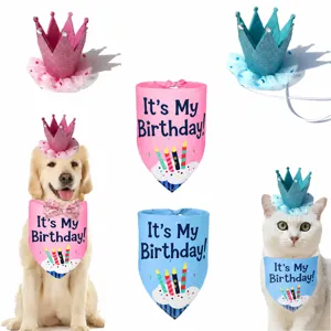 Pet Birthday Party Hat And Bandana Set Cute Crown Hat With Sequin And Letter Print Dog Cat Birthday Outfit Supplies