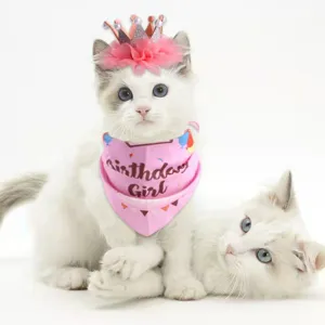 Cute pink birthday crown and bandana set for cats and dogs, perfect for pet party celebration.