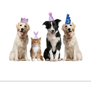 Pet birthday hat set with sequin crown and dinosaur design for cute dogs and cats party.
