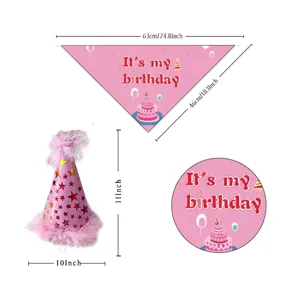 Pet birthday party bandana and hat set, cute pink dog cat celebration costume decoration.