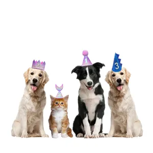 Gradient Sequin Crown Dinosaur Mermaid Pet Birthday Party Hat And Triangular Scarf Set Costume Accessories For Dogs And Cats