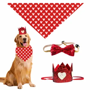 Valentine's Day pet dog cat costume set red heart bandana sequin crown bow tie props