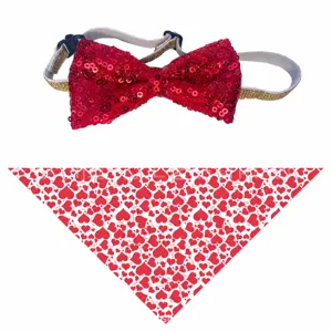 Valentine's Day pet dog bow tie and heart bandana set for birthday party decoration.