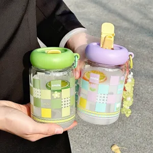 Plaid Print Borosilicate Glass Water Cup With Straw Portable Leakproof Drinking Bottle Heat Resistant Cup For Women