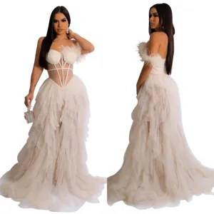 Sleeveless corset mesh long dress with feather accents, elegant evening party maxi dress.