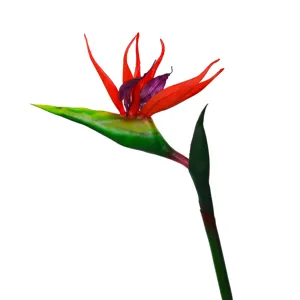 Artificial Bird of Paradise flower single stem PU Strelitzia for home decor wedding arrangement