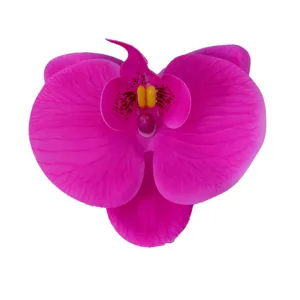 Artificial Phalaenopsis Orchid Flower Head for DIY Wedding Gift Box Decoration Craft
