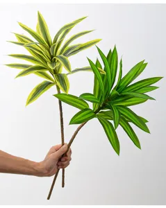 Artificial Dracaena reflexa green plant detail, vibrant foliage leaf for decoration.