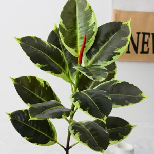 Artificial rubber tree plant faux green leaves faux plant for home indoor room decor aesthetic