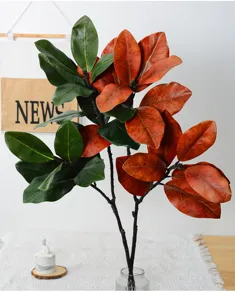Rametto di foglie di magnolia artificiale finta pianta composizione floreale decorazione oggetti di scena