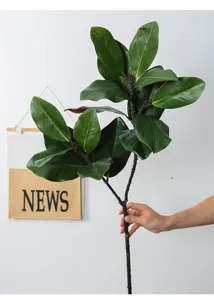 Vista dettagliata del ramo di foglie di magnolia artificiale, grandi foglie verdi per decori.