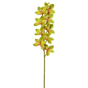 Stelo di orchidea cymbidium verde artificiale per decorazione floreale di casa e matrimoni