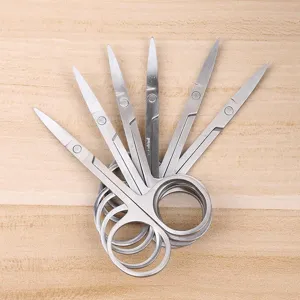 Set de ciseaux de beauté en acier inoxydable, ciseaux à sourcils incurvés pour le maquillage.
