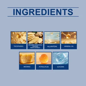Detaillierte Inhaltsstoffe Grafik mit natürlichen und mineralischen Extrakten für Pflegeprodukte.