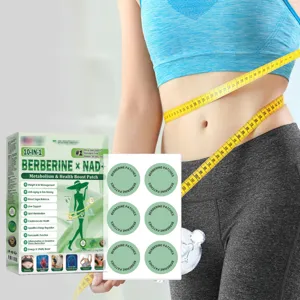 Berberine NAD+ Körperpflegepflaster für tägliche Taillenformung und Gesundheitsunterstützung