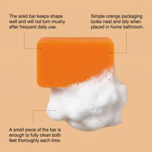 Savon nettoyant à base de plantes en détail montrant une mousse riche et une texture solide.
