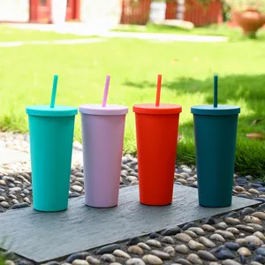 Doppelwandiger Kunststoff Trinkbecher mit Strohhalm 24oz Outdoor Kaltgetränk Becher Set Ansicht