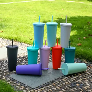 Doppelwandiger Kunststoff Trinkbecher mit Strohhalm 24oz Outdoor Kaltgetränk Becher Trinkflasche.