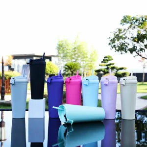 Dubbelwandige kunststof rietjesbeker met deksel, grote outdoor waterbeker voor vrouwen