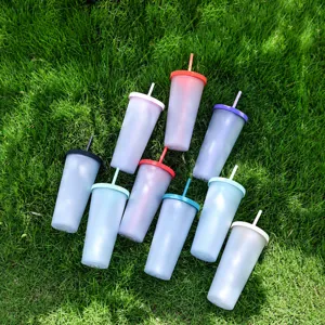 Vaso de plástico esmerilado de color con pajita, taza de agua portátil para verano frío