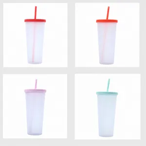 Mayorista taza de agua de verano, taza de paja portátil esmerilada de plástico de doble capa.
