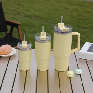 Cute stainless steel insulated tumbler set with handle and straw for car and travel use.