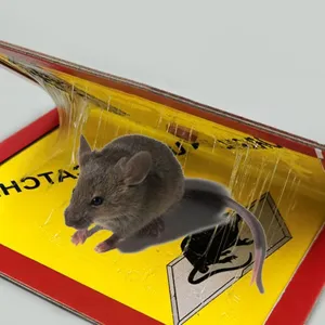 Panneau Piège à Souris Collant Robuste Colle Puissante Contrôle des Nuisibles pour Maison Entrepôt