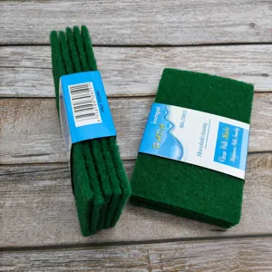 Spugne Abrasive in Carborundum Biadesive Spesse Strumenti per la Pulizia della Cucina Strofinacci per Piatti Utensili Domestici per la Pulizia delle Pentole