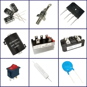 Electronic components assortment set including capacitors, rectifiers, diodes, and switches.