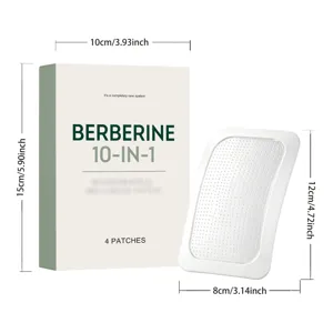 Εμπλάστρα περιποίησης σώματος Berberine 10-σε-1, διαπνέον και φιλικό προς το δέρμα, 4 τεμ.