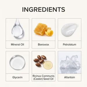 Infographie détaillée des ingrédients clés du patch d'huile de ricin LANISKA pour la peau.