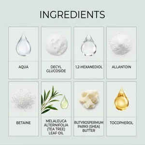 Vista dettagliata dei principali ingredienti naturali per la cura della pelle con olio di tea tree.