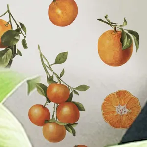Orange fruit peel wall sticker removable PVC wallpaper for bedroom living room home decor
