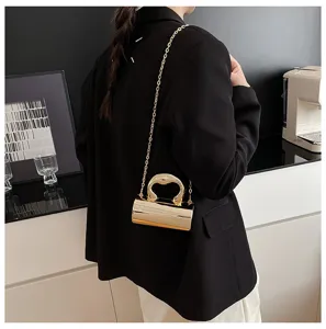 Stylish metallic cylinder crossbody bag for women, featuring chic chain strap and metal handle.