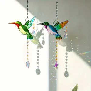 Détail de la réfraction de la lumière arc-en-ciel du capteur de soleil colibri.