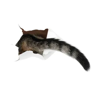 3D creative cat tail toilet lid wall sticker for bathroom decor