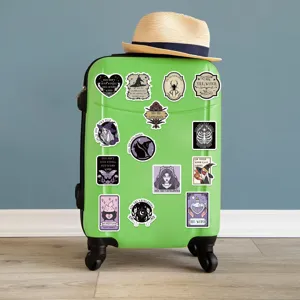 Gedetailleerd overzicht van verschillende witchy feministische stickers op een koffer.