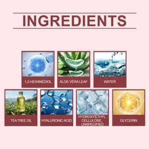 Detailed skincare patch ingredient infographic showing aloe, tea tree oil and active formulas.