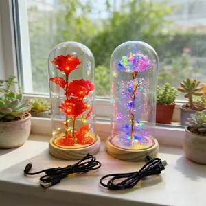 LED glass dome rose night light USB powered artificial flower gift for Valentine home decor