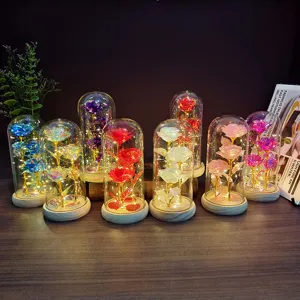 Galaxy rose glass dome night light with LED fairy lights, romantic gift for women and girls.