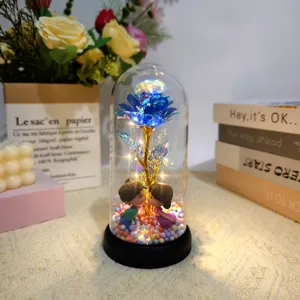 LED Glass Rose Dome Preserved Flower Couple Figurine Valentine Gift Table Decor Lamp