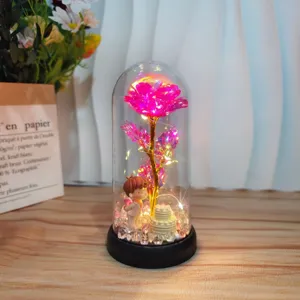 LED Glaskuppel Rosen Nachtlicht mit niedlicher Figur, romantisches Geschenk für Freundin.