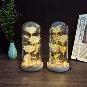 Galaxy gold foil rose glass dome night light romantic gift for girlfriend bedroom decor