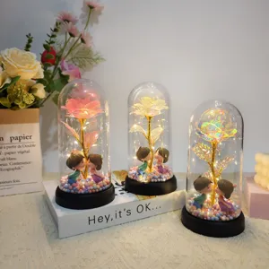 Preserved Rose Glass Dome LED Light Romantic Couple Figurine Gift for Women and Girls