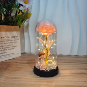 LED Rosen Glas Kuppel Nachtlicht Romantisches Paar Geschenk Heimdeko Ewige Blume Lampe